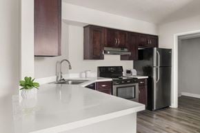 La Jolla apartment for rent - A kitchen with a white countertop and dark brown cabinets.