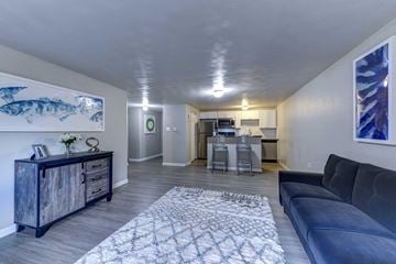 Lakewood apartment for rent - A living room with a dark blue couch and a patterned rug.