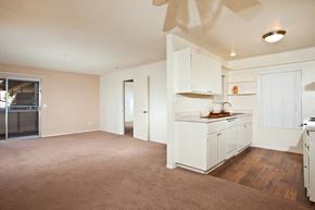 Vista apartment for rent - a kitchen and living room with wood style plank flooring and carpet.