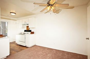 Ceiling fans