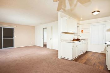 Wood-style plank flooring and carpet options