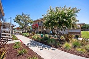 Ceres apartment for rent - The sidewalk in between the apartment buildings with bark, bushes, and trees.
