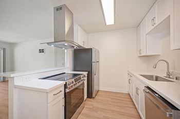 Gourmet kitchen