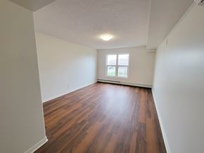 Kingston apartment for rent - an empty living room with wood flooring and a window