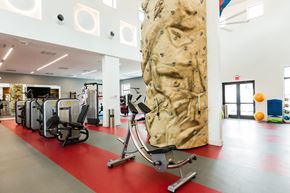 Coral Springs apartment for rent - the gym with a large rock wall and various exercise equipment