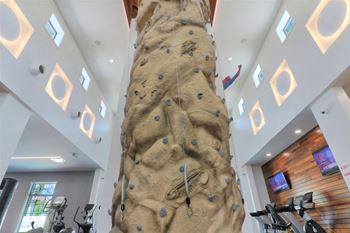Rock climbing wall