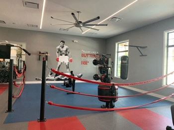 Boxing ring