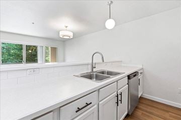 Boise apartment for rent - a kitchen with a sink and a window