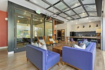 Fort Collins apartment for rent - Two blue couches are in the foreground of a modern living room.