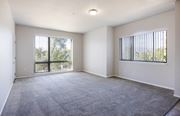 Missoula apartment for rent - A spacious room with a large carpeted floor and two windows. at Ashlyn Place, Missoula, Montana