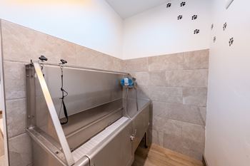 A stainless steel sink in a bathroom with a wall of tiles.