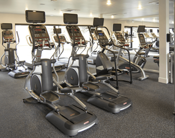 A group of exercise bikes