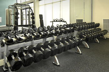 Free weights