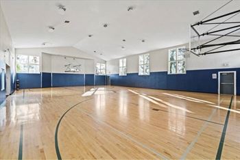 Basketball gym with court markings and hoop