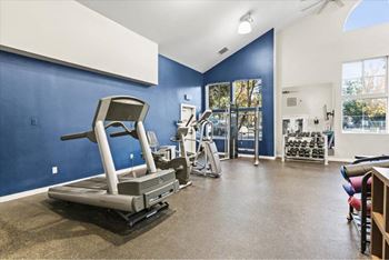 Home gym with cardio machines and free weights
