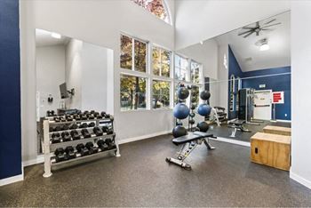 Home gym with dumbbells medicine balls and exercise bench