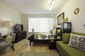 Cambridge apartment for rent - Beautiful Blinds in Bedroom at 603 Concord in Cambridge, MA 02138
