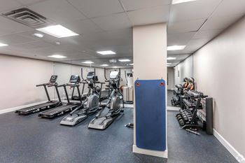 A gym with treadmills, exercise bikes, and weights.