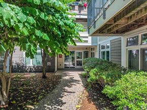 Cambridge apartment for rent - Lush greenery lining walking paths at 7 Cameron Apartments, Cambridge 02140