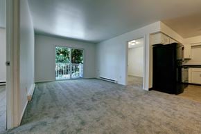 Schenectady apartment for rent - A spacious living room with a carpeted floor and a view of a fence and trees through a window.