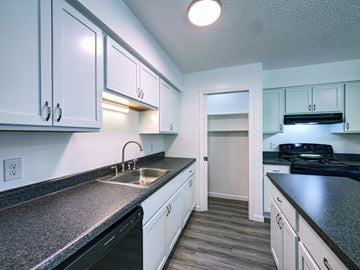 Gansevoort apartment for rent - the preserve at ballantyne commons apartment kitchen with counter top and sink
