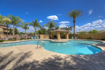 Mesa apartment for rent - A pool surrounded by palm trees and a small gazebo.