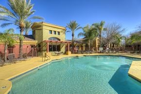 Mesa apartment for rent - A pool surrounded by palm trees at San Miguel Apartments, Mesa, AZ 85212