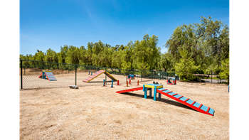 Dog park
