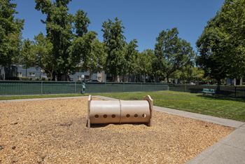 Dog park