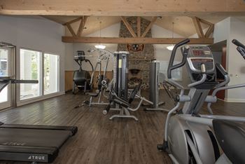 Fitness center strength equipment