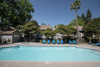 Swimming pool side view