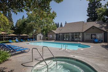 Swimming pool and spa