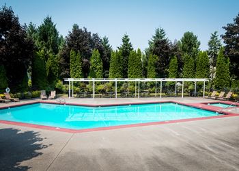 Pool & wading pool