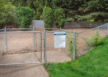 Bark park view