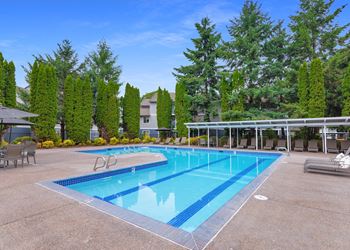 Pool with lounge chairs