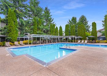 Outdoor swimming pool and pool deck with furniture