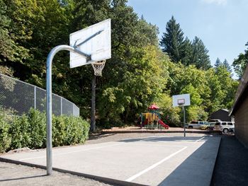 Basketball court