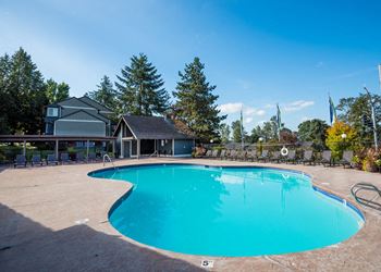 Pool & lounge chairs