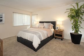Sacramento apartment for rent - Primary Bedroom at Delta Pointe Apartments, Sacramento, 95833
