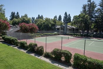 Sports court