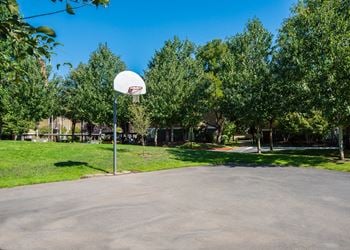 Basketball court