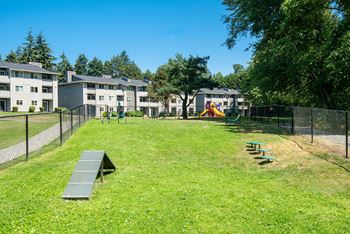 Bark park view