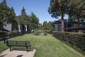 Bark park and bench