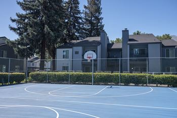 Basketball court view