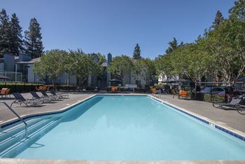 Sparkling pool