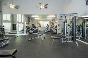 Fitness center & strength equipment