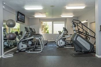  Fitness center & cardio equipment