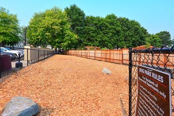 Bark park