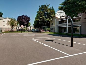 Basketball court