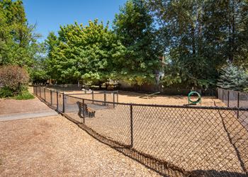 Bark park